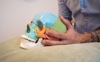 Der Osteopath René Krüger hält ein farbiges Modell eines menschlichen Schädels in den Händen. Der Schädel zeigt verschiedene Bereiche in unterschiedlichen Farben, um die verschiedenen Knochen des Schädels darzustellen.